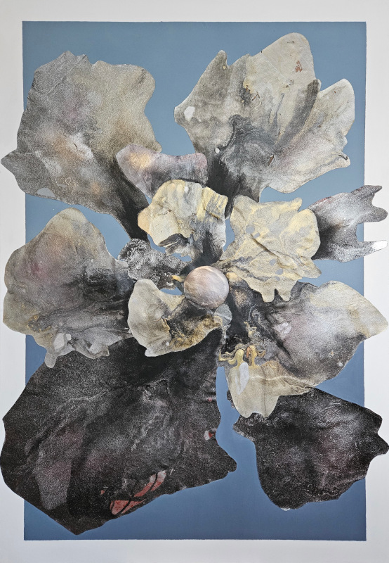 Collage 2